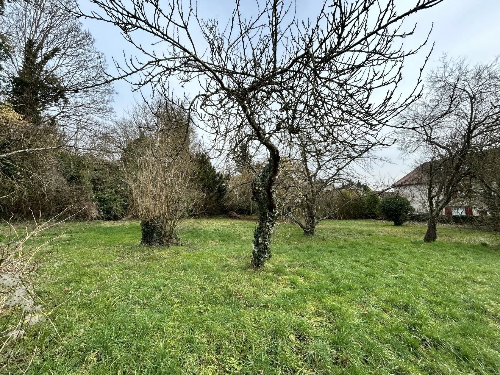 Maison neuve 83 m² à Vaux-sur-Seine (78740)