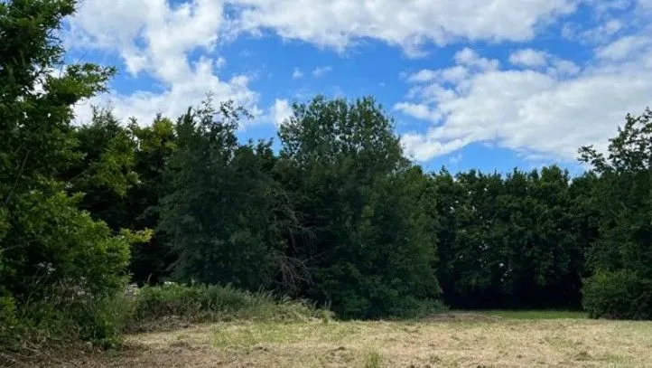 Terrain à bâtir 917 m² à Beaumont-en-Beine (02300)