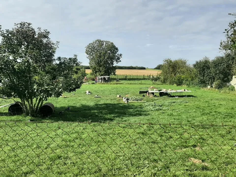 Maison neuve 84 m² à Guiscard (60640)