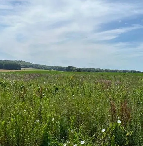 Terrain à bâtir 3744 m² à Noyon (60400)