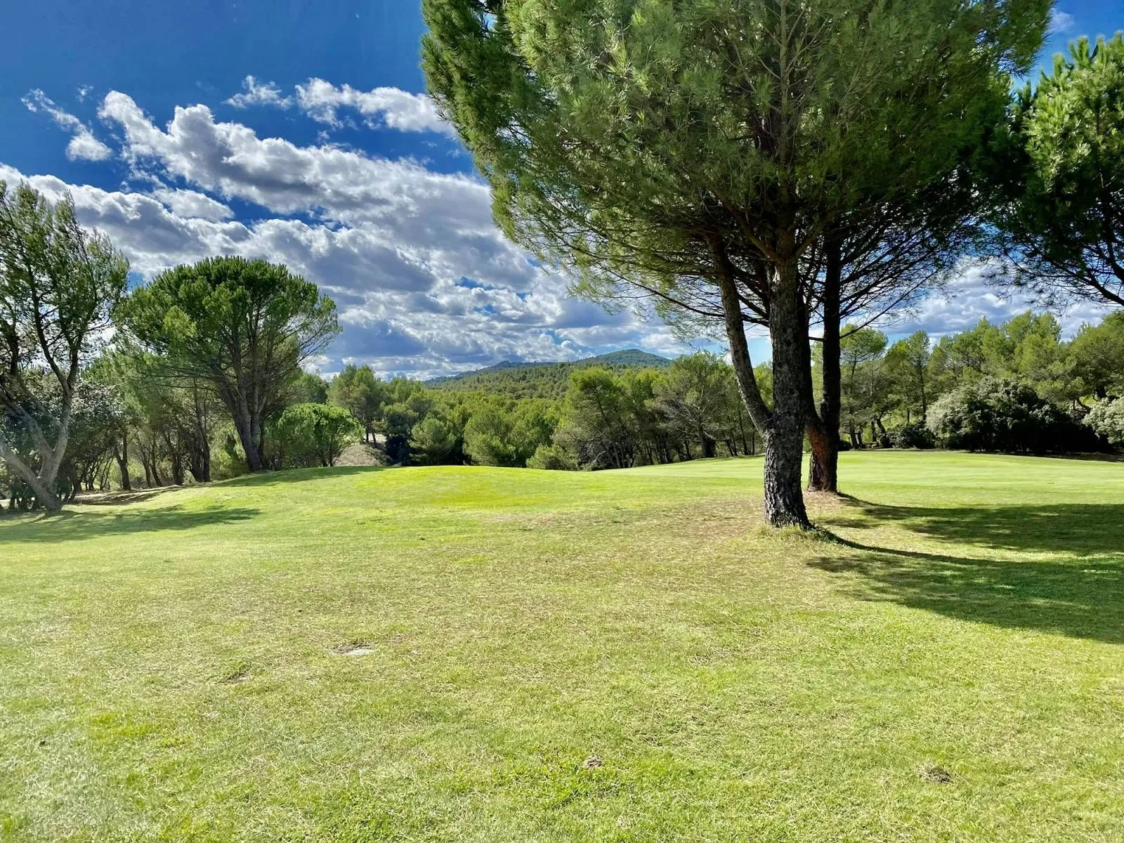Maison neuve 84 m² à Serris (77700)