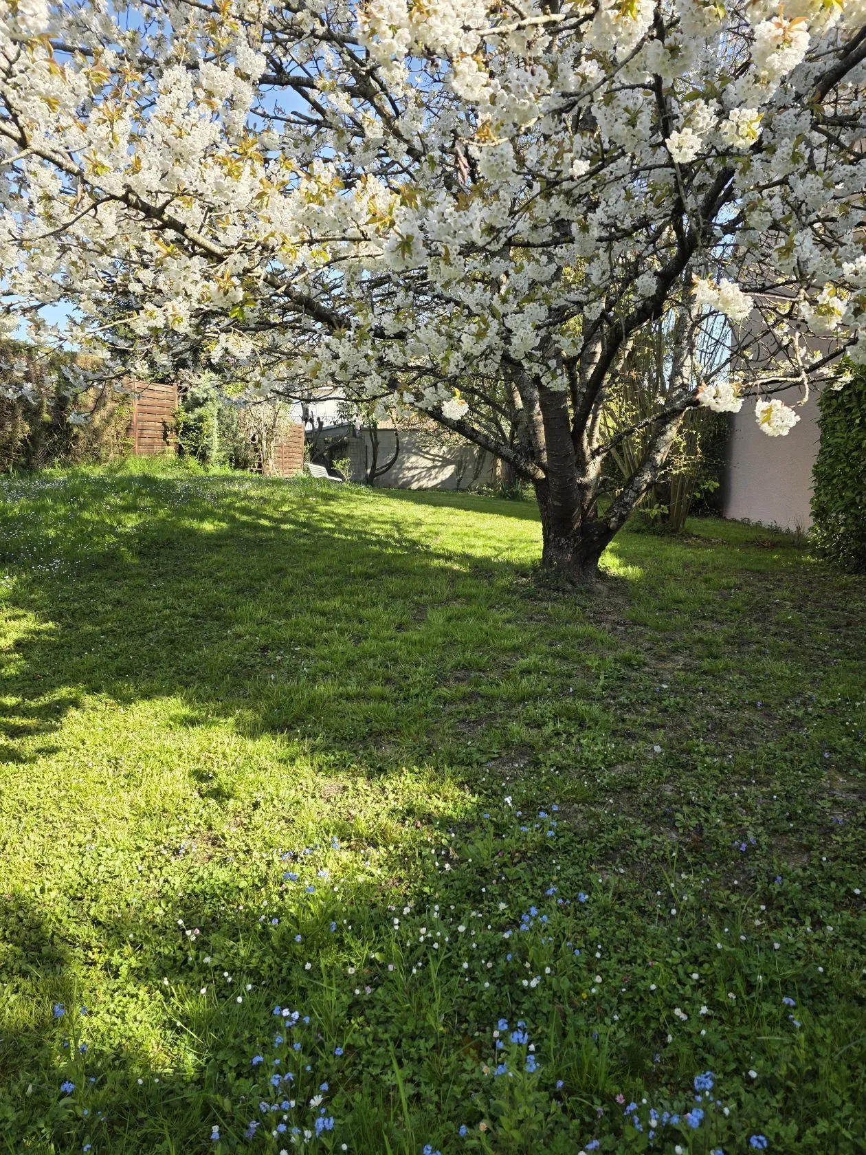 Maison neuve 83 m² à Lumigny-Nesles-Ormeaux (77540)