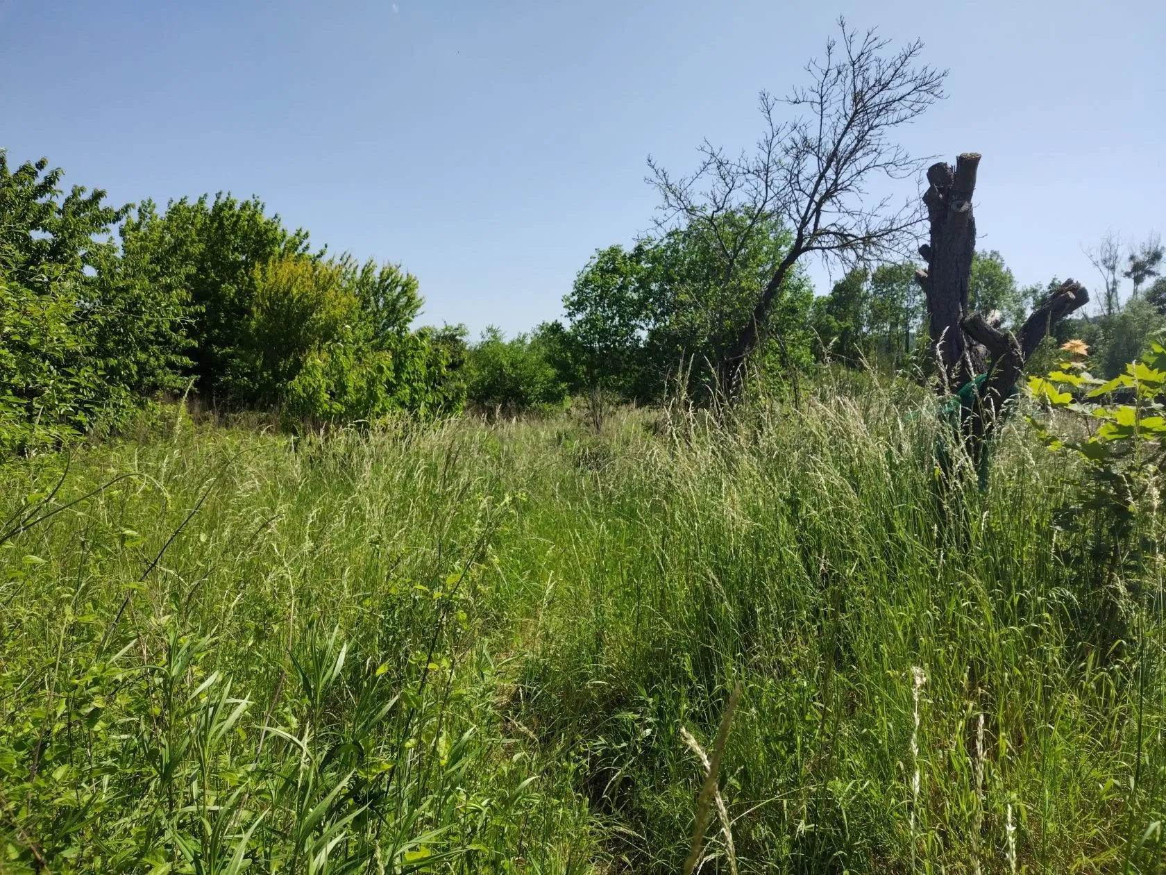 Maison neuve 120 m² à Soissons (02200)