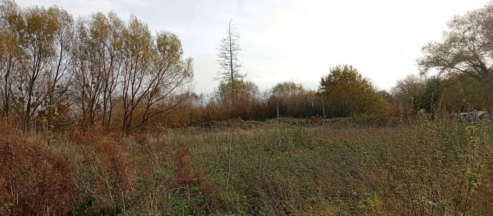 Terrain à bâtir à Samoussy