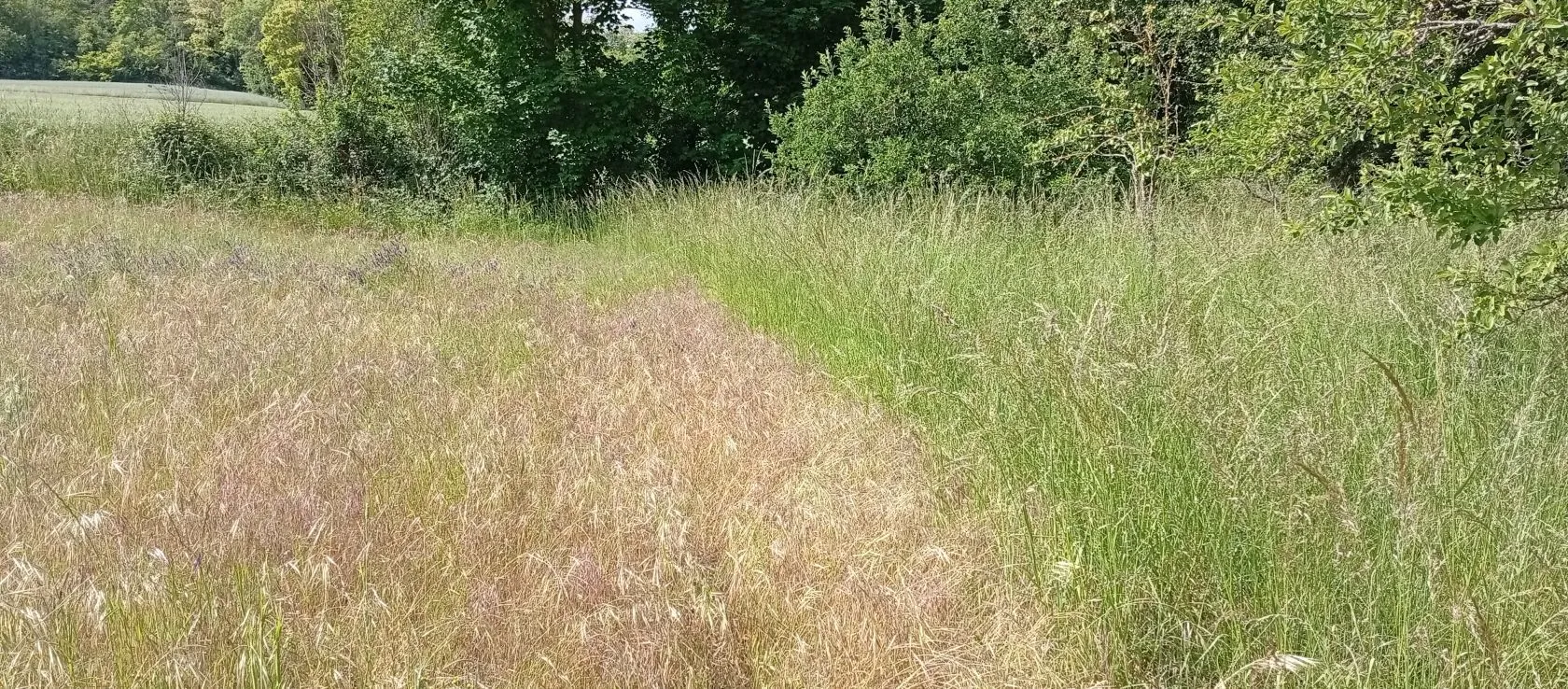 Terrain à bâtir 2200 m² à Bucy-le-Long (02880)