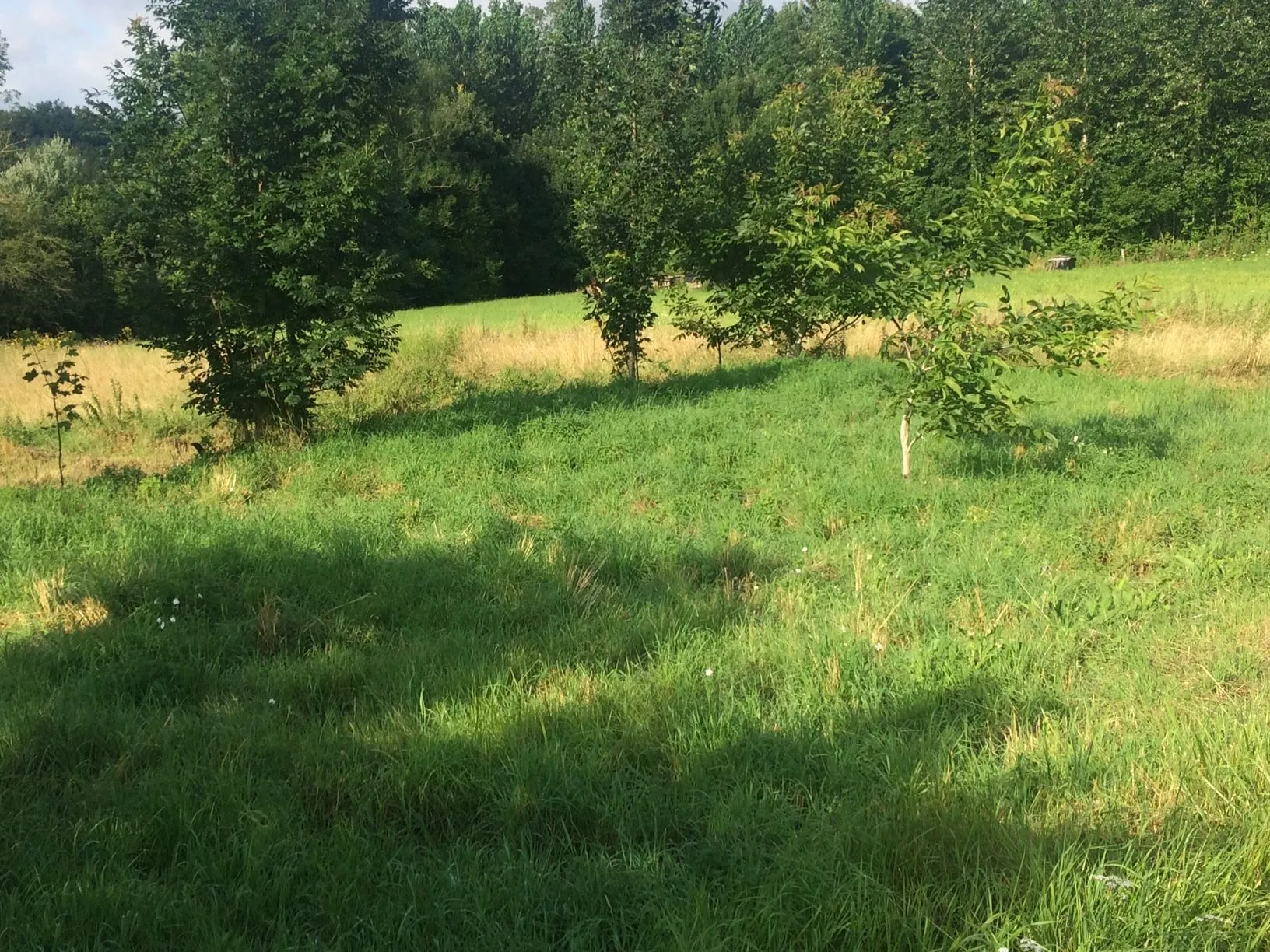 Maison neuve 79 m² à Fontenoy (02290)