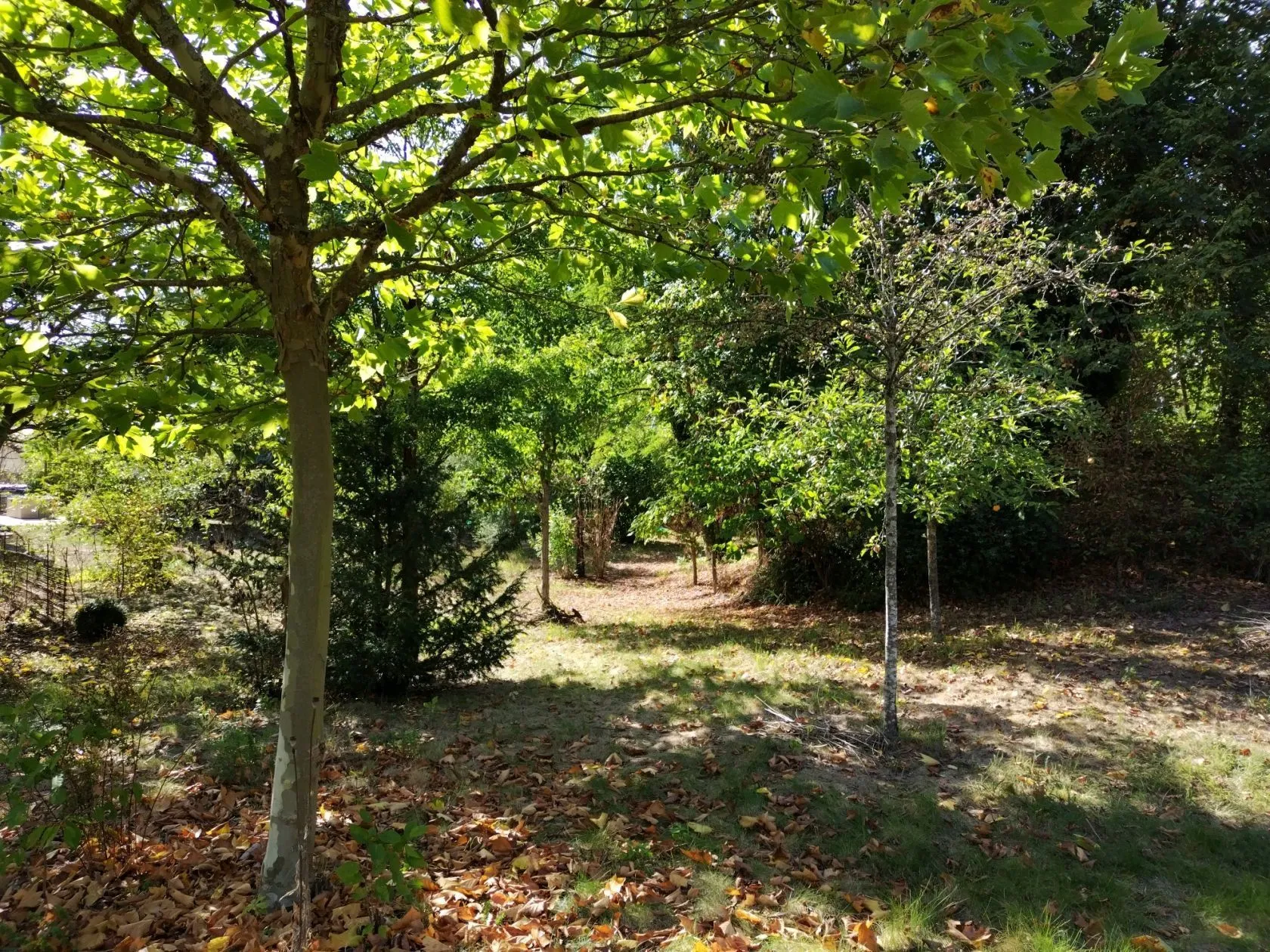 Maison neuve 83 m² à Presles-et-Thierny (02860)