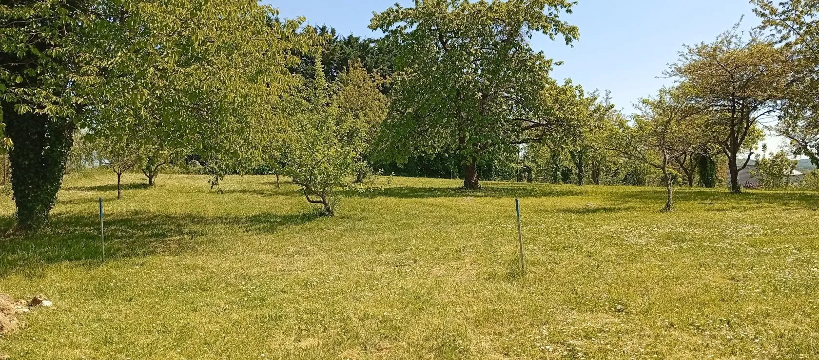 Terrain à bâtir 1310 m² à Bucy-le-Long (02880)
