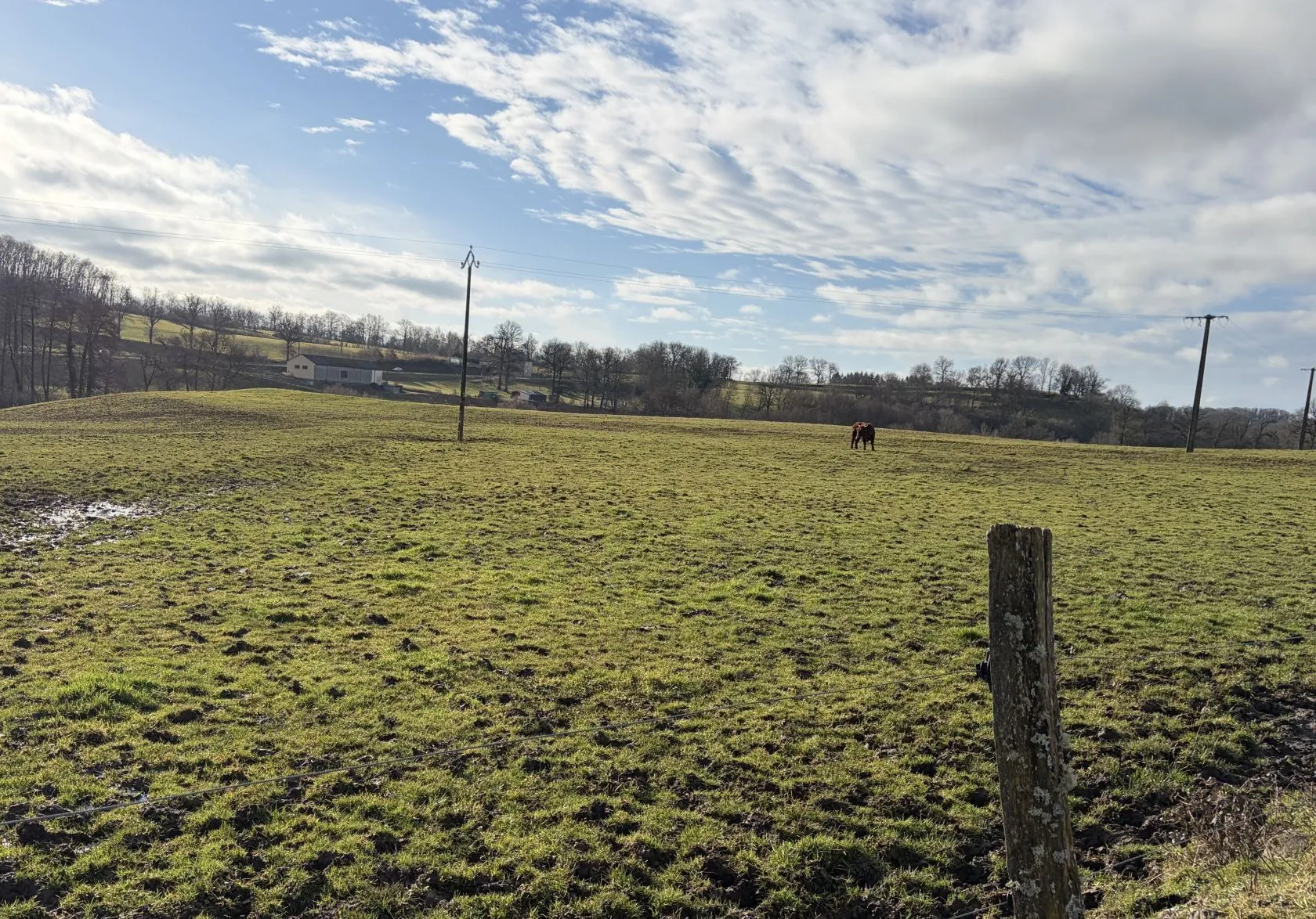 Terrain à bâtir 930 m² à Jussac (15250)