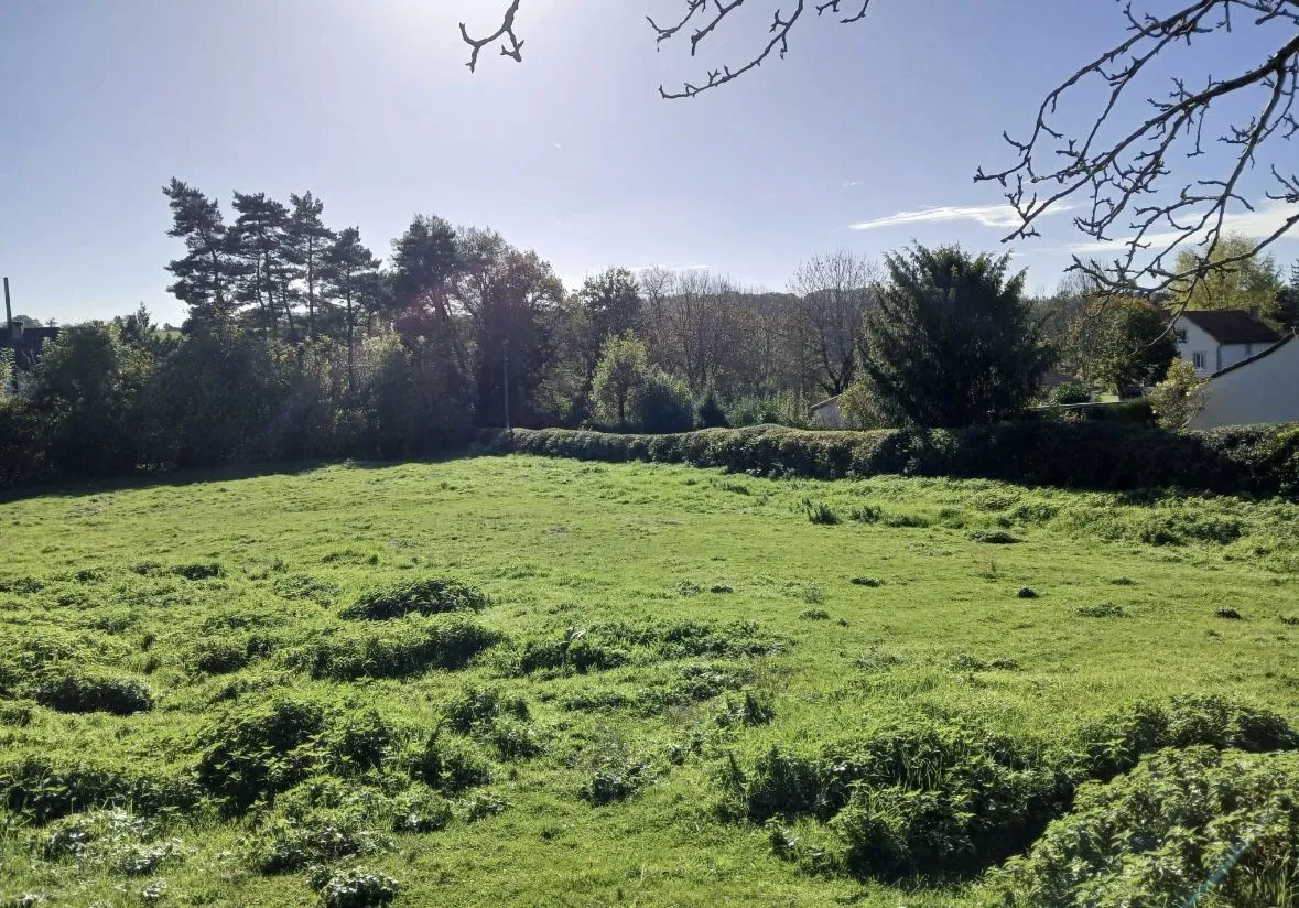 Terrain à bâtir 1000 m² à Sansac-de-Marmiesse (15130)