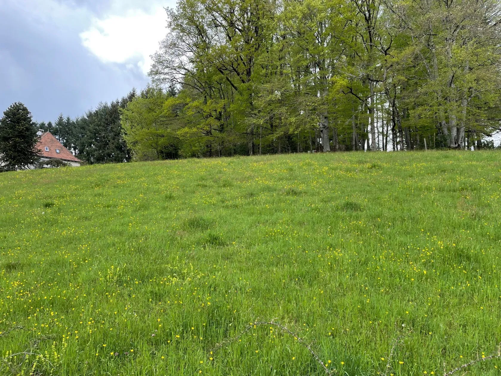 Terrain à bâtir à Lafeuillade-en-Vézie