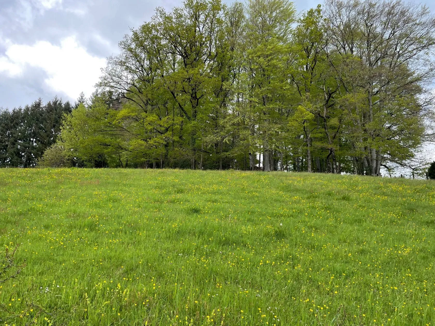 Terrain à bâtir 1385 m² à Lafeuillade-en-Vézie (15130)
