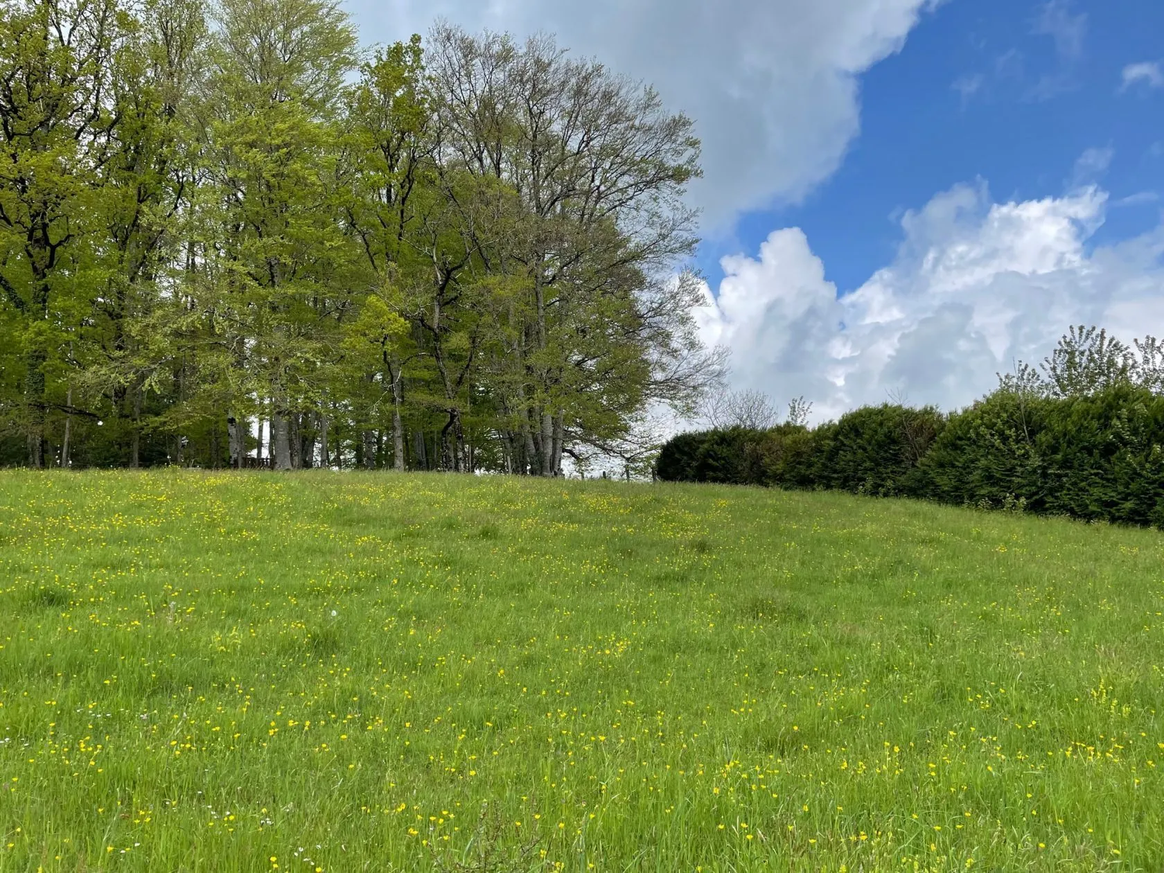 Terrain à bâtir 1385 m² à Lafeuillade-en-Vézie (15130)