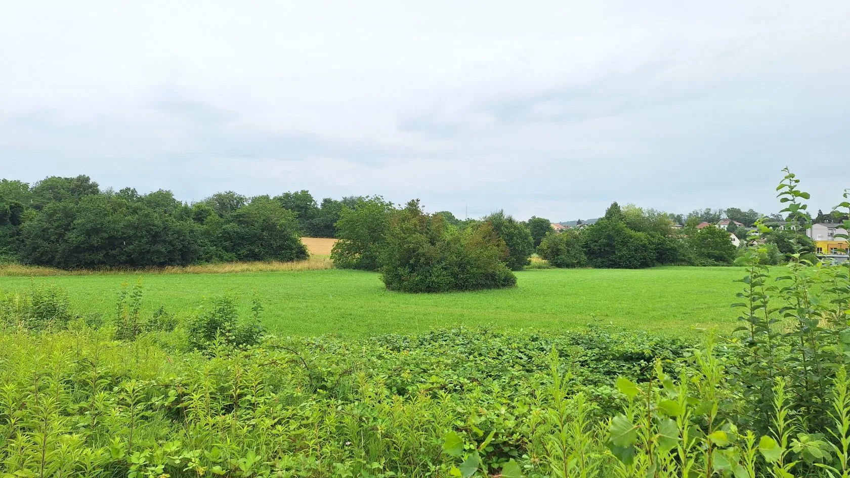 Maison neuve 99 m² à Didenheim (68350)
