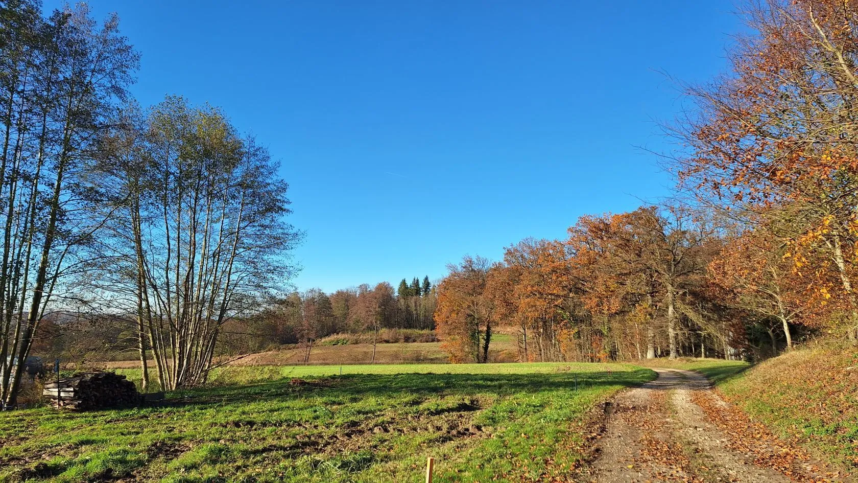 Maison neuve 133 m² à Friesen (68580)