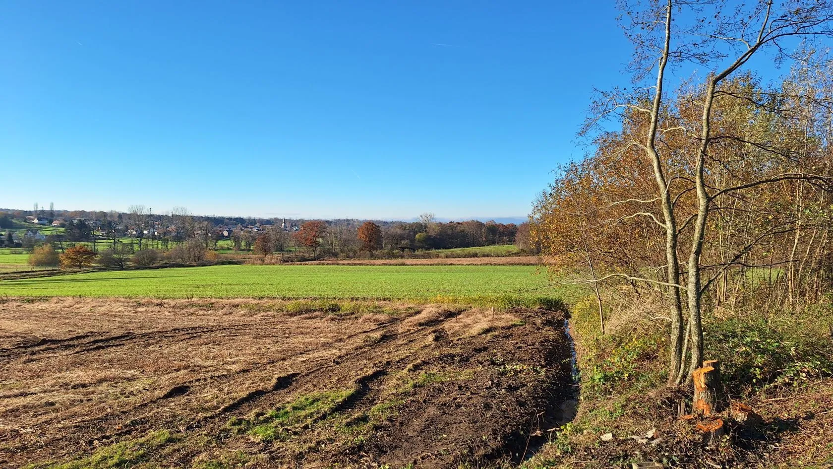 Maison neuve 133 m² à Friesen (68580)