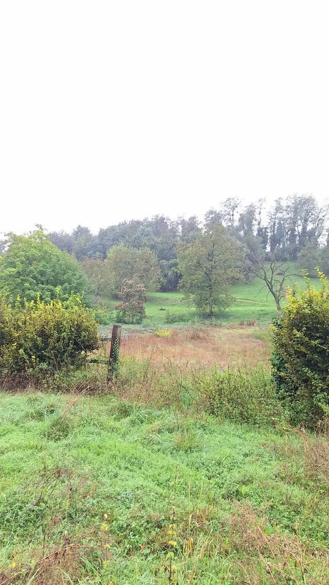 Maison neuve 102 m² à Hégenheim (68220)