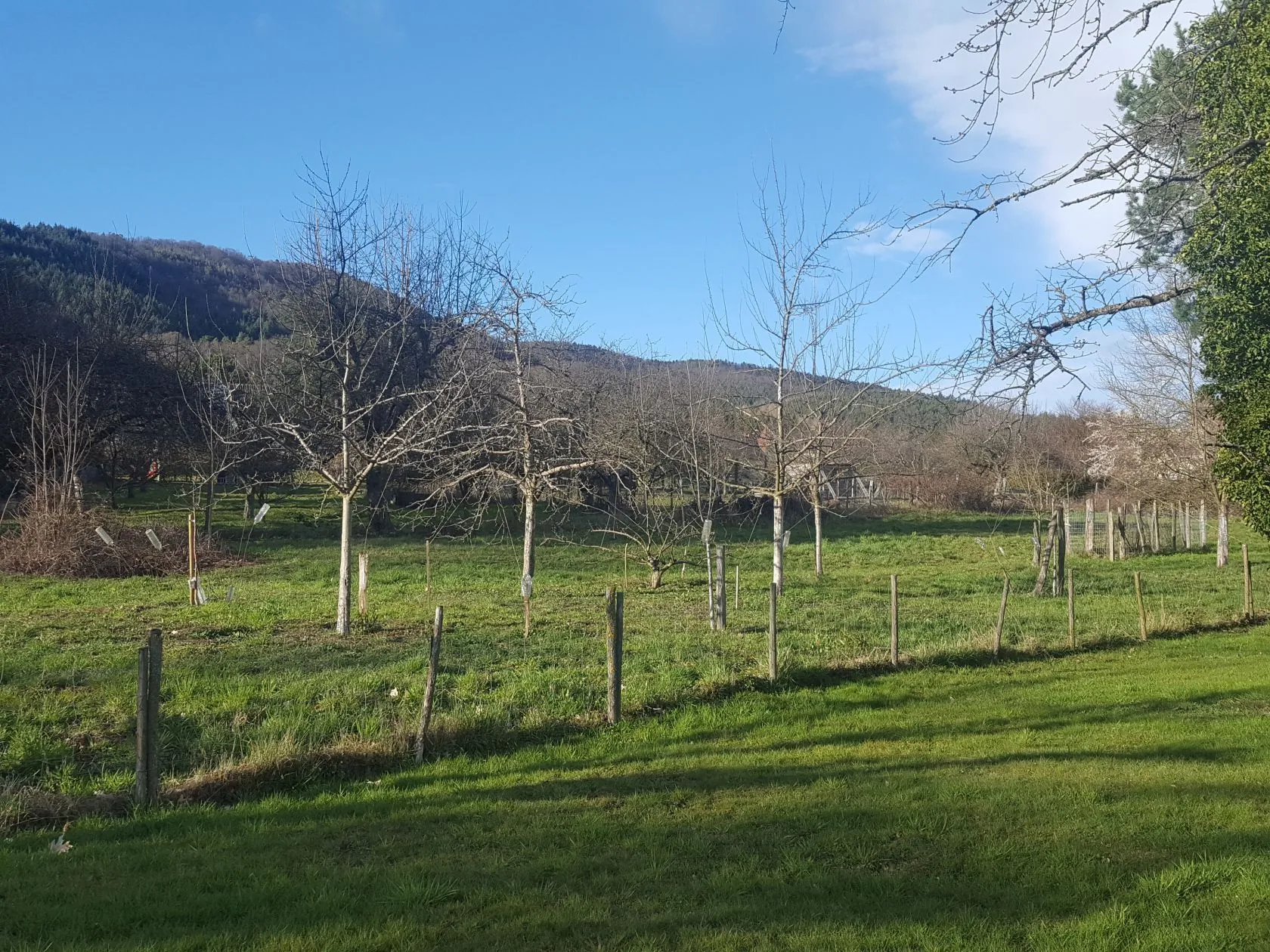 Maison neuve 133 m² à Lautenbach (68610)