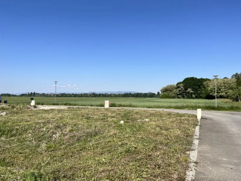 Maison neuve 137 m² à Richtolsheim (67390)