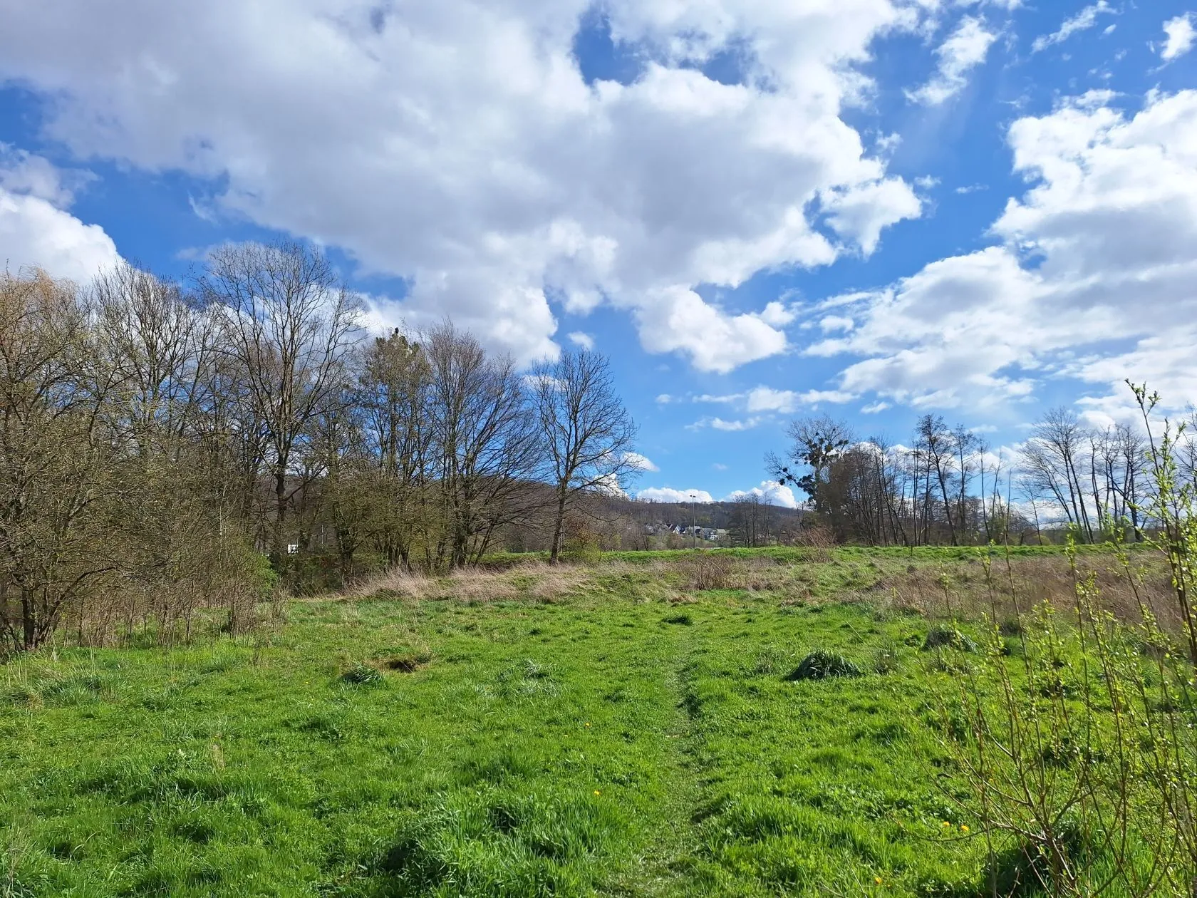 Maison neuve 133 m² à Tagolsheim (68720)