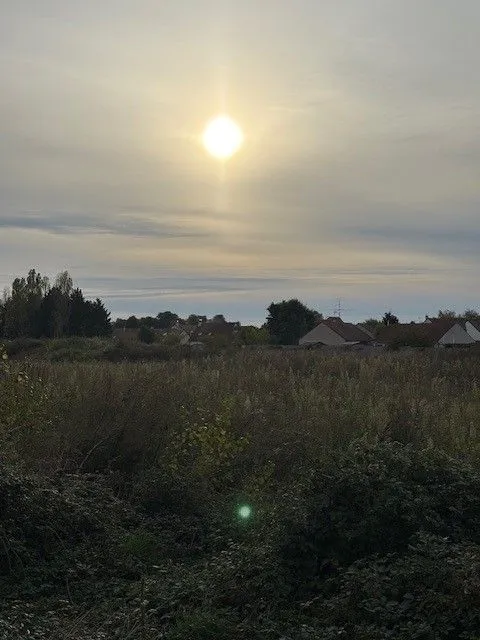 Maison neuve 170 m² à Saint-Jean-le-Blanc (45650)