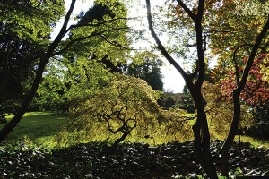 terrain à bâtir