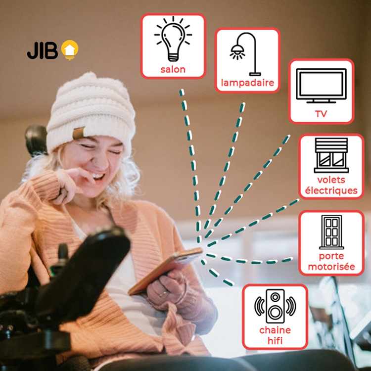 PMR-jib-domotique