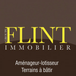 Flint-logo